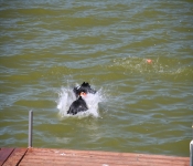 July4th2011 257